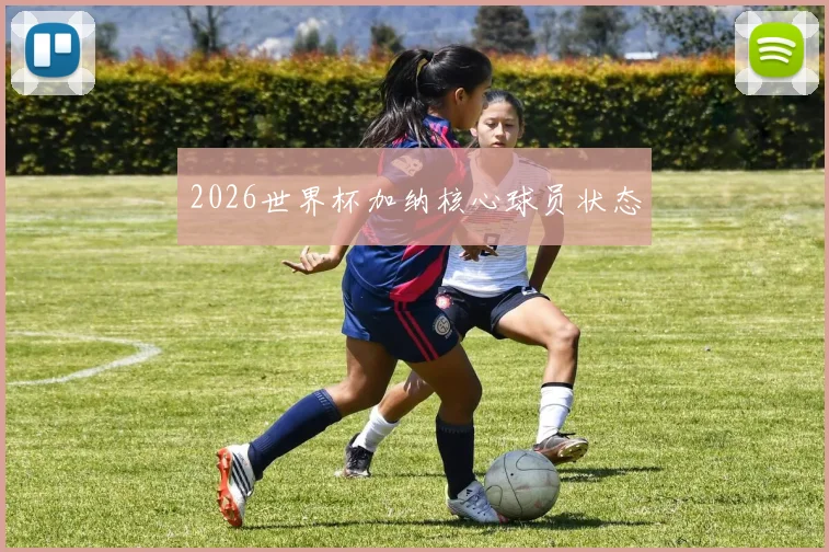 2026世界杯加纳核心球员状态