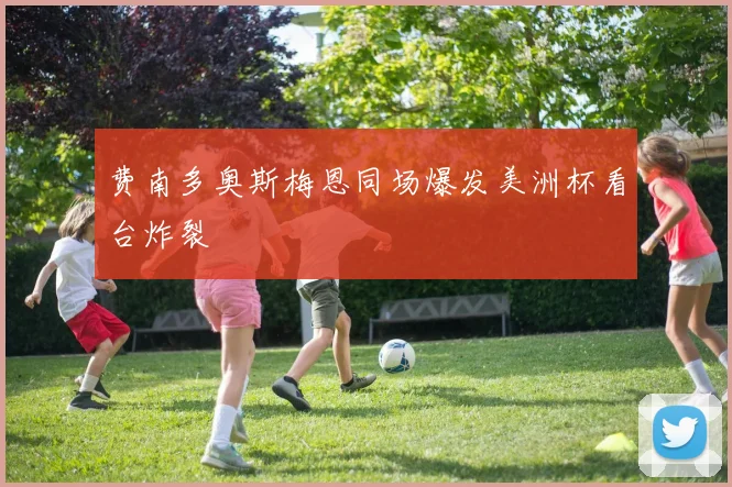 费南多奥斯梅恩同场爆发美洲杯看台炸裂