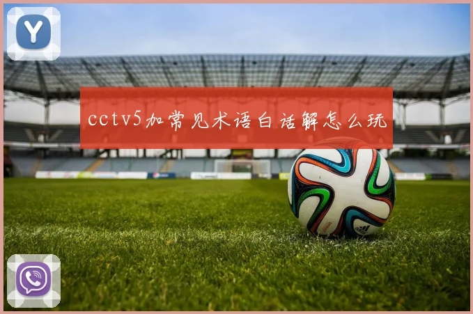 cctv5加常见术语白话解怎么玩